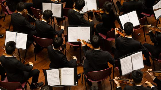 orchestral string section